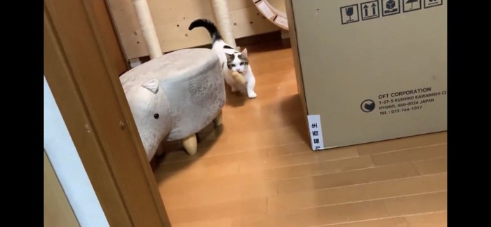 どこかに持っていく