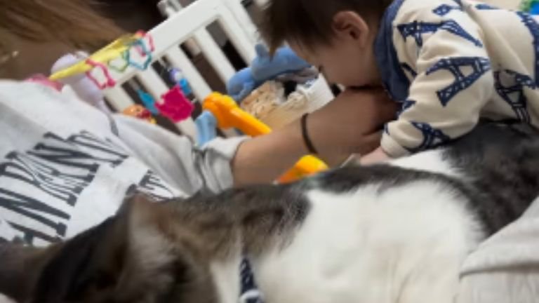 赤ちゃんと猫