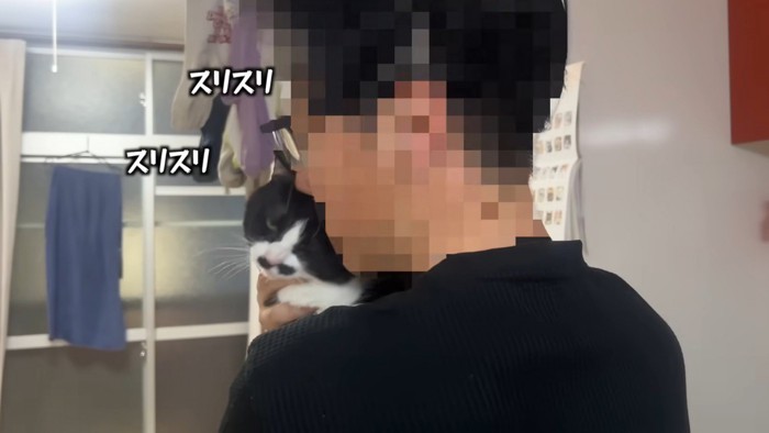 スリスリされる猫