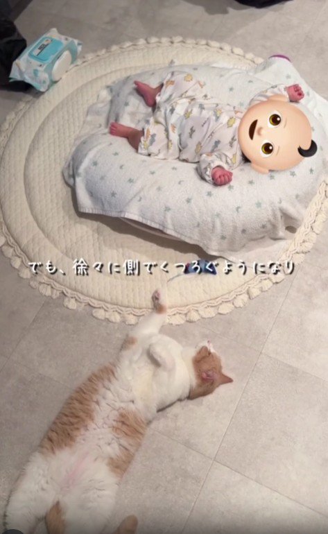 赤ちゃんのそばで寝転がる猫