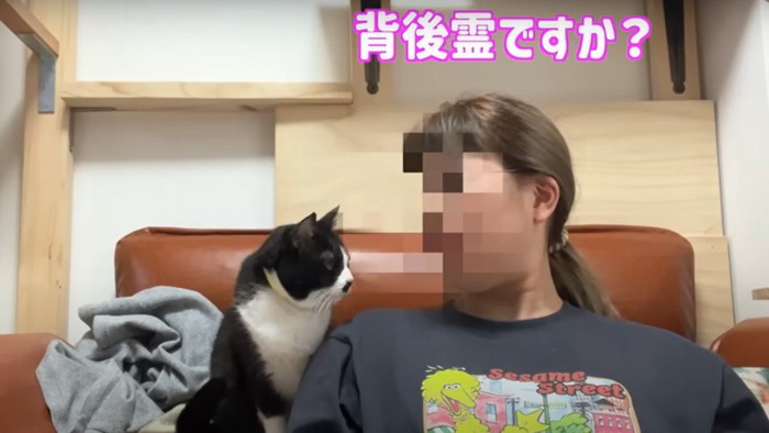 「背後霊ですか?」と質問された猫