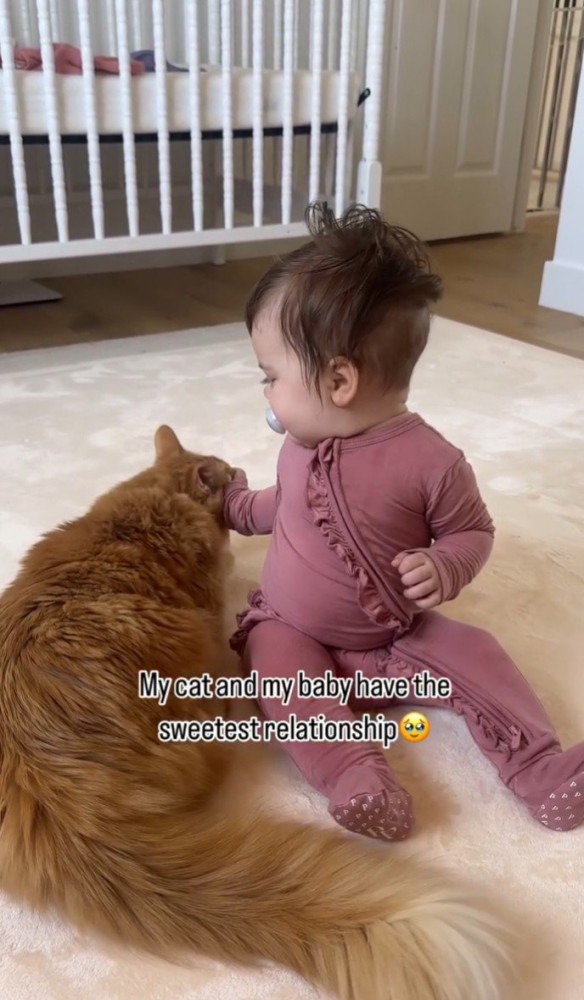子どもが猫の頬を撫でる