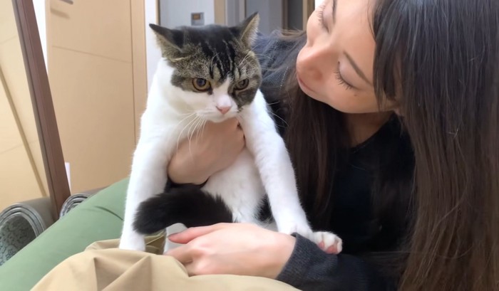 猫を1匹抱っこする女性