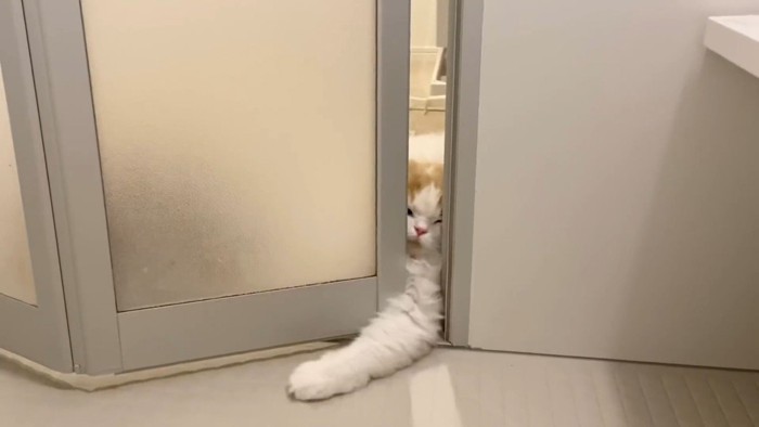 腕を伸ばして