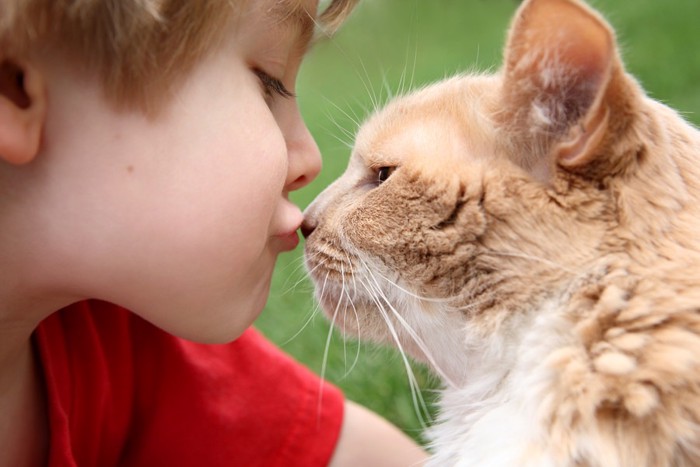 子供に挨拶する猫