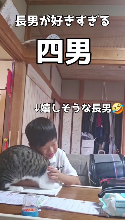 宿題をしている男の子と猫
