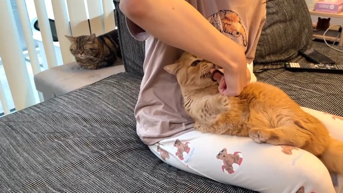指をガブッ