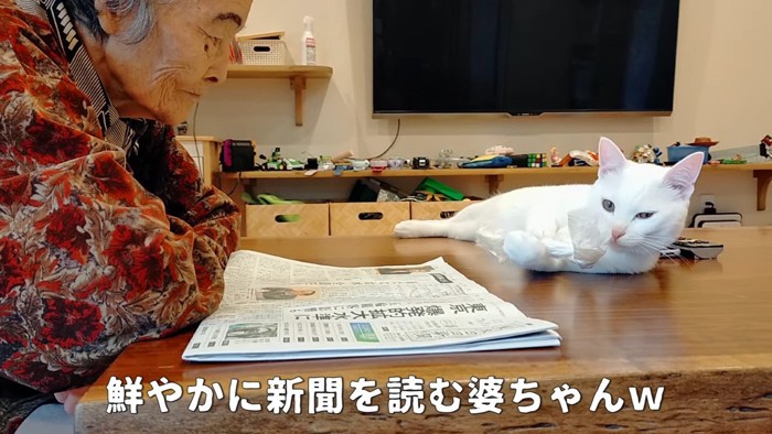 新聞を読む老婆と猫