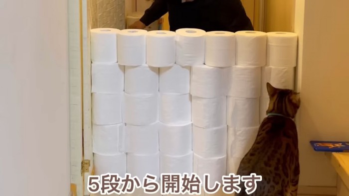 積まれたトイレットペーパー