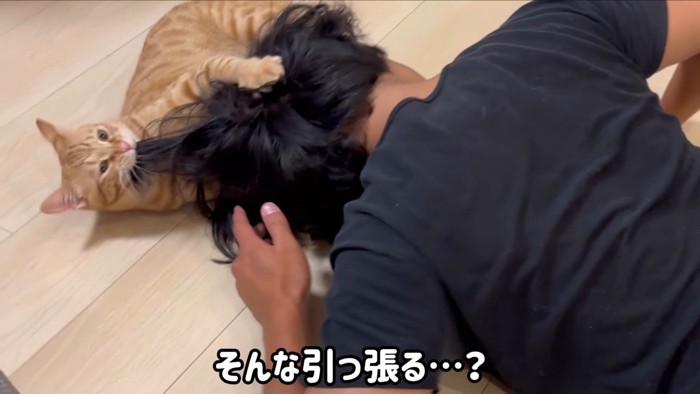 髪の毛を引っ張って