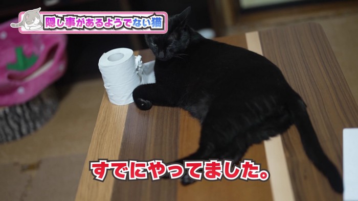 トイペと黒猫全身