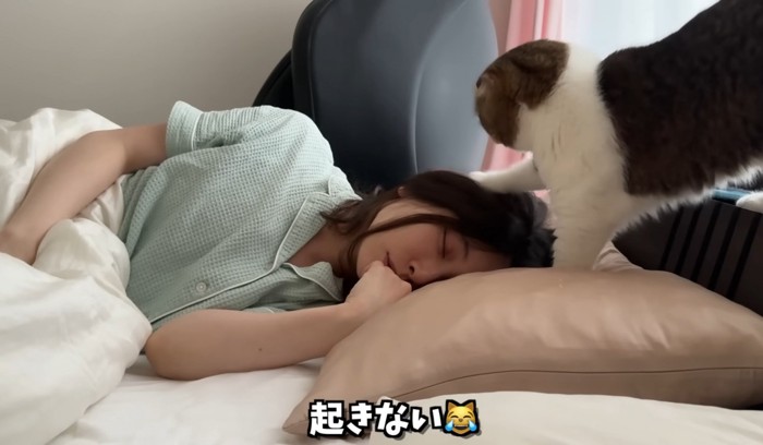 寝ている女性に手を当てる猫