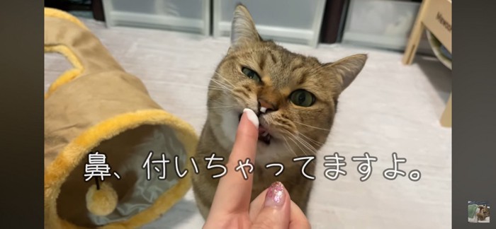 食べる