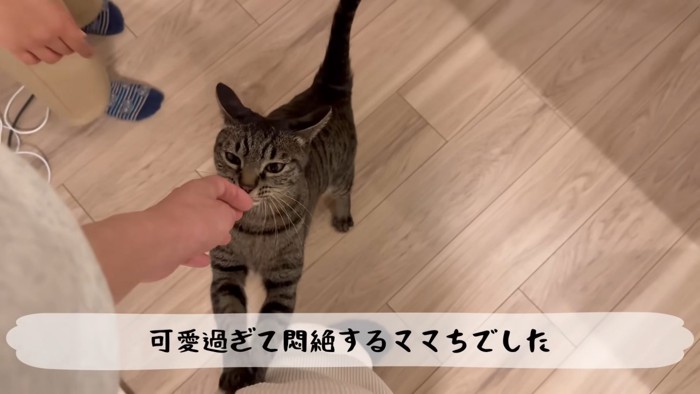 テロップ「可愛過ぎて～」