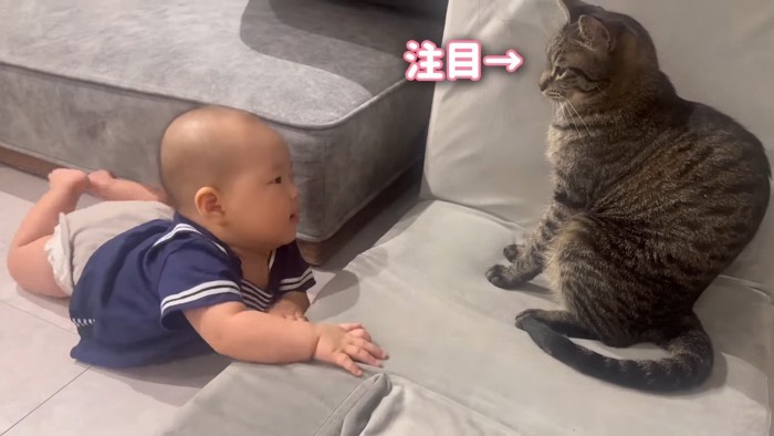 注目