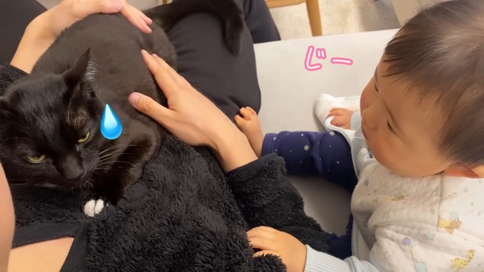 テロップ「じー」