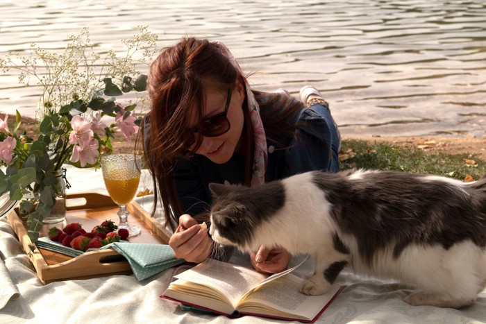 読書をじゃまする猫