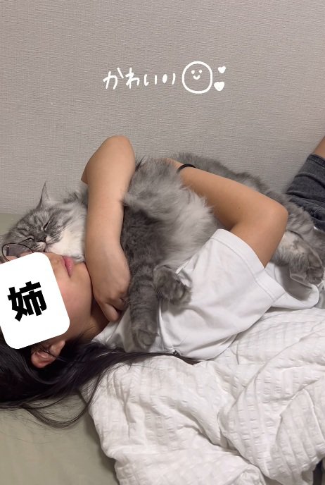 眠そうな猫
