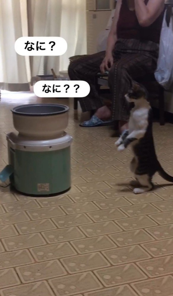 「なに？」と二回書かれた写真