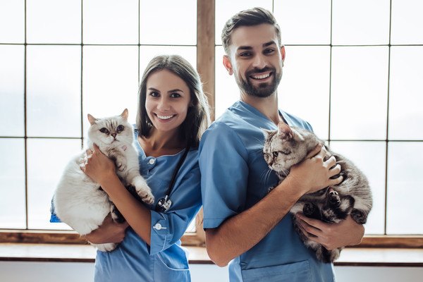 猫を抱っこしている獣医師