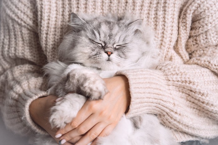 抱かれる猫