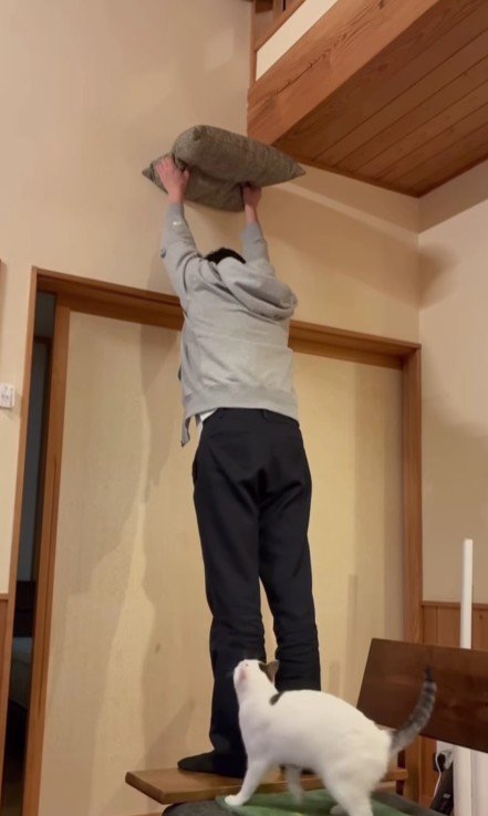 座布団を掲げる飼い主と猫