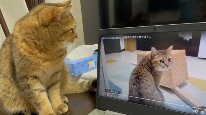 みにらくんと動画のみにらくん