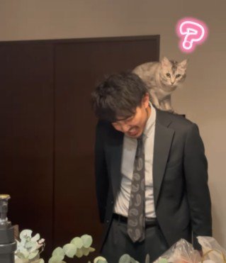 うつむく男性と肩の上の猫