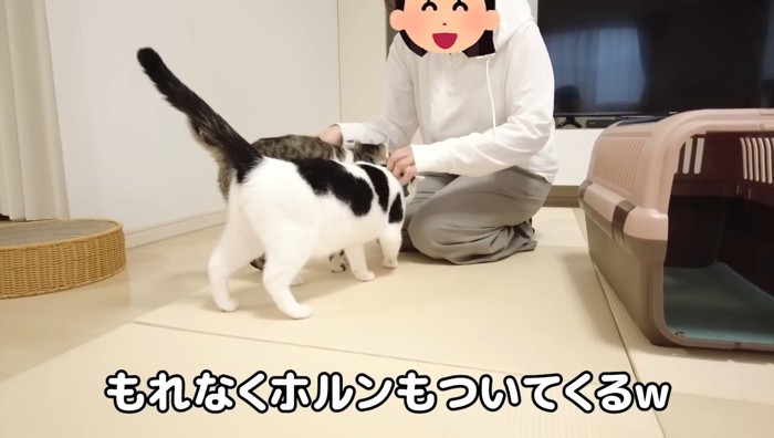 もれなく
