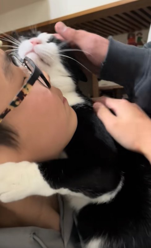 目を瞑って子どもの首に抱きついている猫