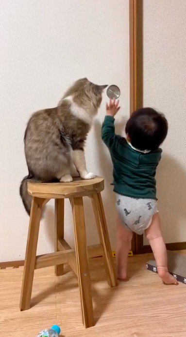 扉の取っ手に手を近づける赤ちゃん