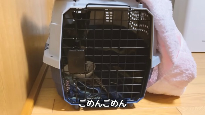 子猫が入っているキャリー
