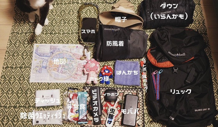 床に並べた荷物