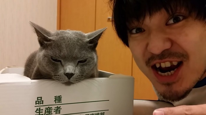 飼い主さんの横で目を閉じる猫