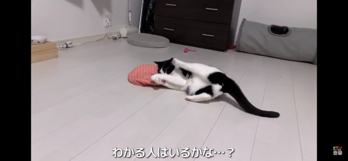 テンション上がる