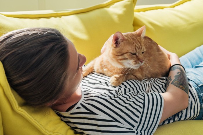 女性のお腹の上の猫