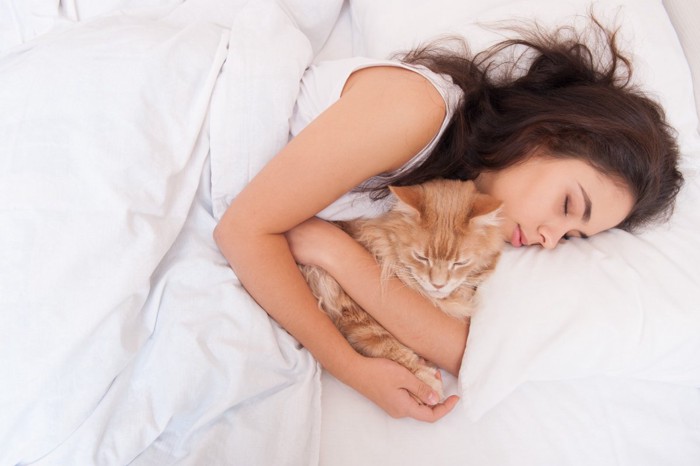 添い寝をする猫と飼い主さん