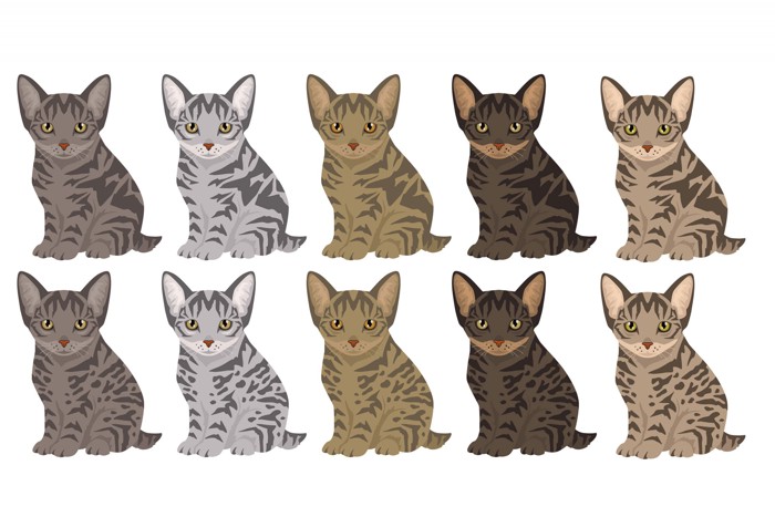 さまざまな毛色のデザートリンクスの顔を描いたイラスト