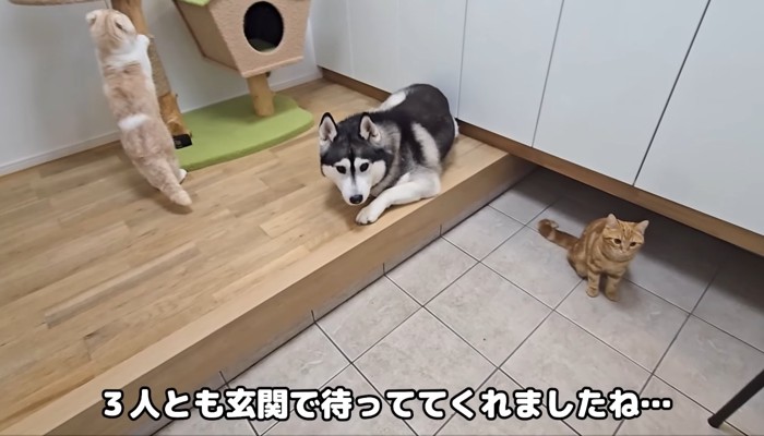 お出迎え