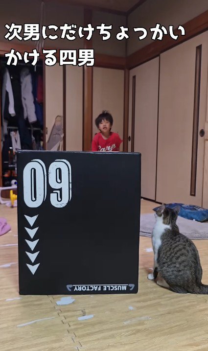 ジャンプトレーニングをする男の子