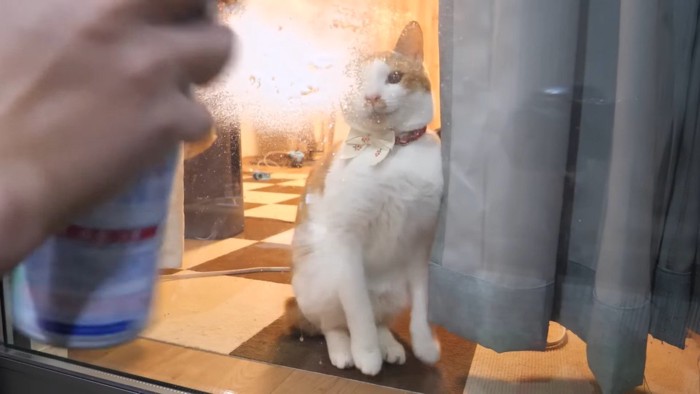 固まるチップくん