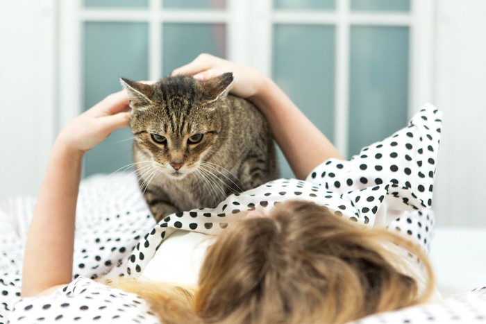 寝ている飼い主の上に乗って起こす猫