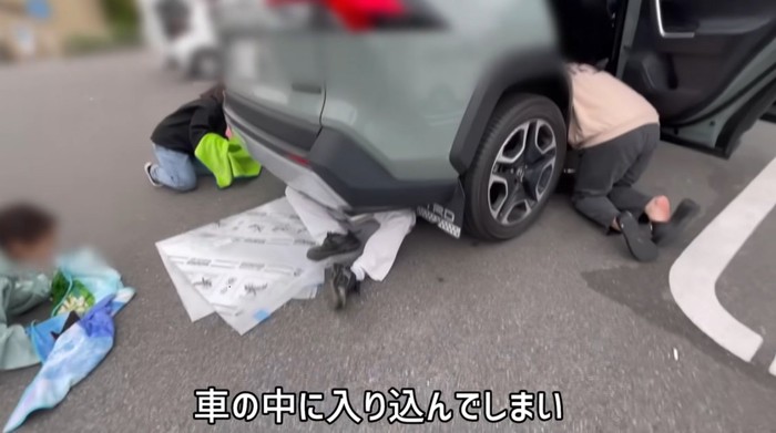 車の下に入り込んで猫を救出する人