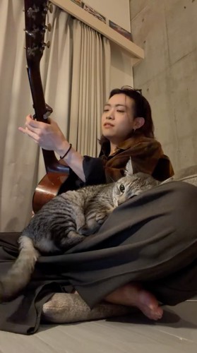 男性の膝の上に寝転がる猫