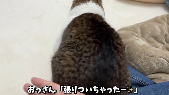 張りついちゃったー