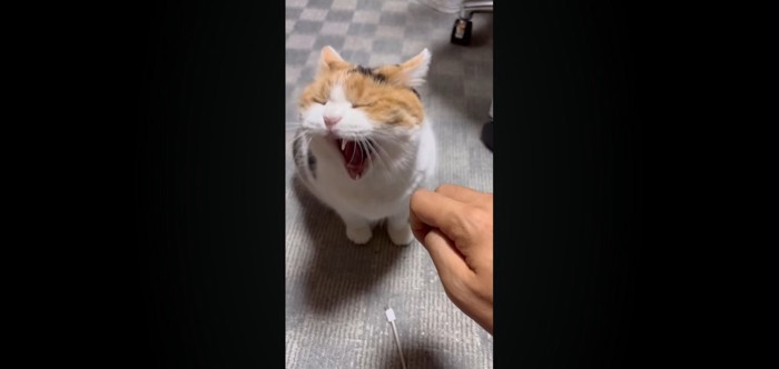 あくび