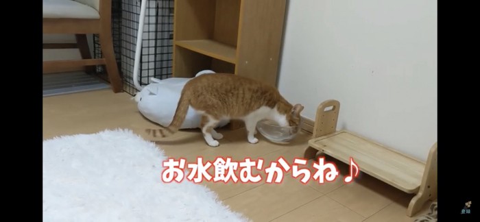 お水飲む