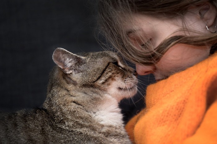 見つめ合う飼い猫と飼い主
