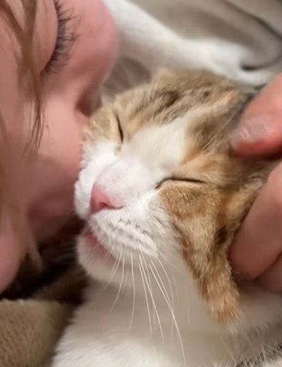 飼い主さんと猫