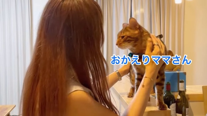 青い鈴の猫